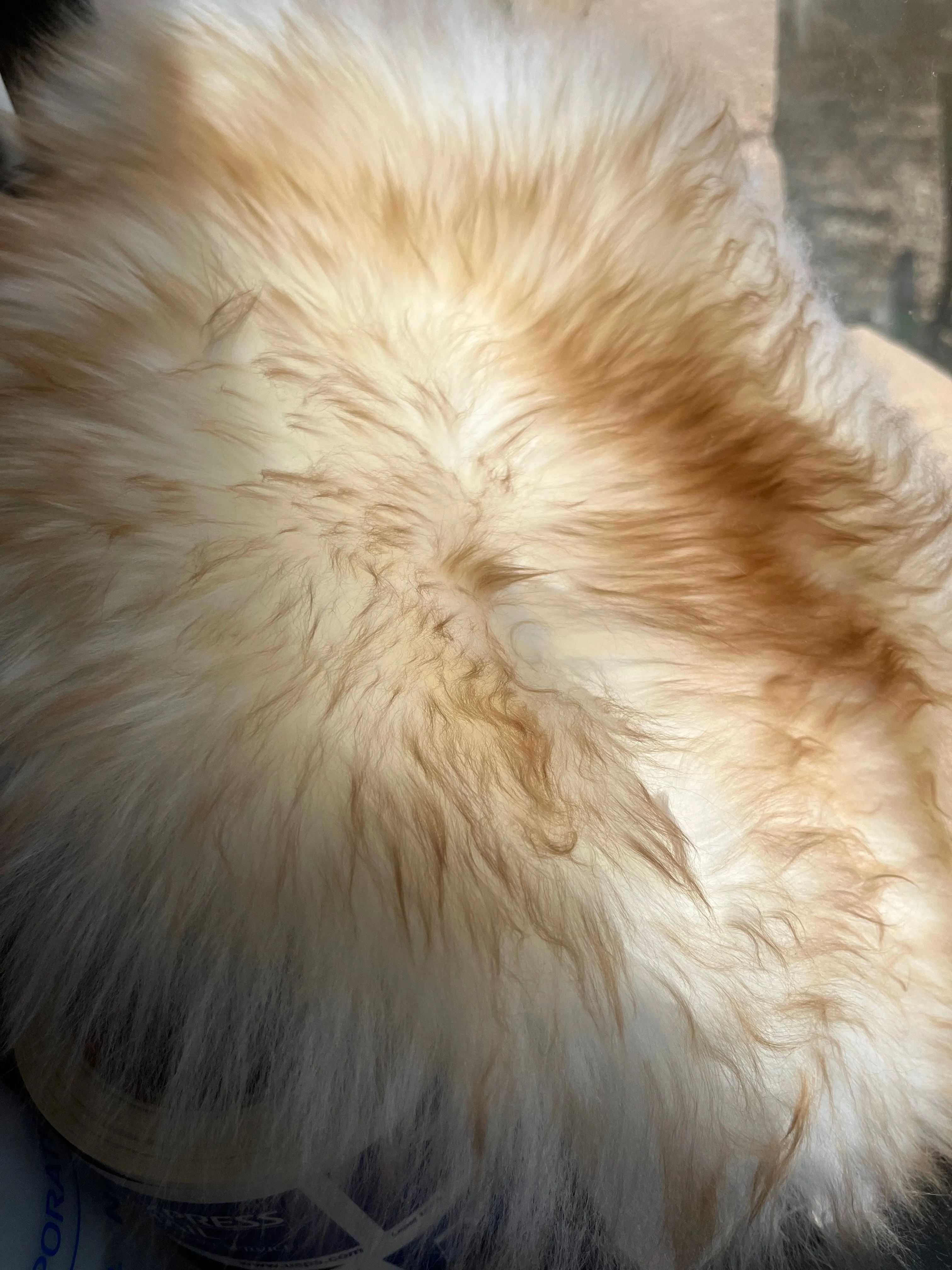 Full Pelt with Straps Sheepskin Buttpad™