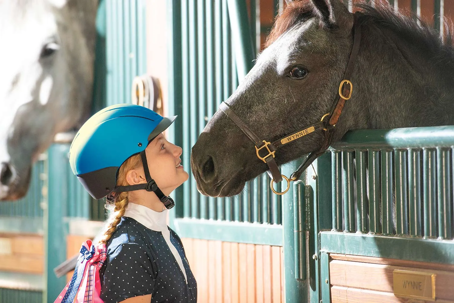 Troxel Spirit Riding Helmet